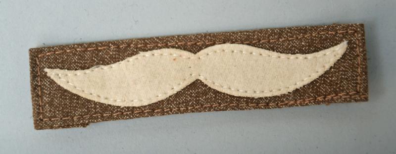 GERMAN WWII LUFTWAFFE FLIGHT SUIT INSIGNIA.