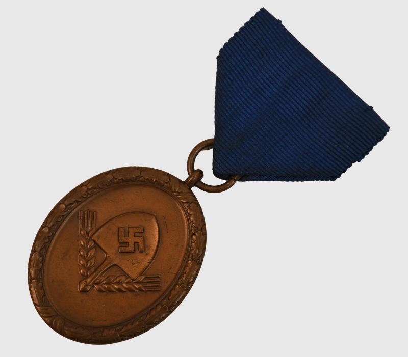 GERMAN WWII RAD LONG SERVICE MEDAL.