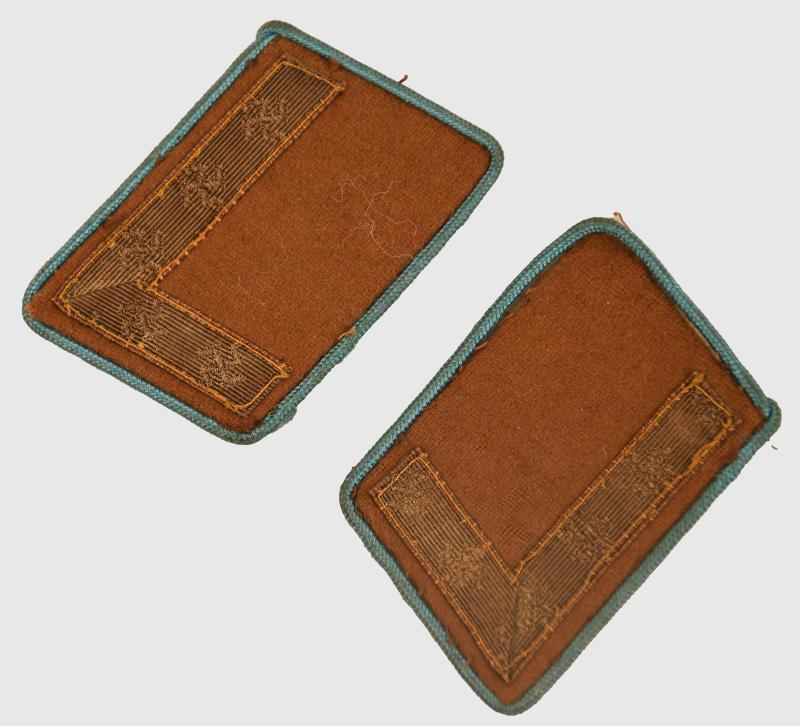GERMAN WWII NSDAP  COLLAR PATCHES.