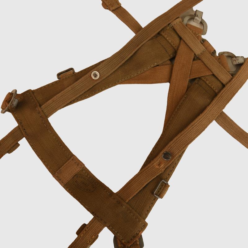 GERMAN WWII ARMY ALL WEB TROPICAL A FRAME.